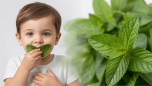 The Role of Green Leaf Therapy in Digestive Health