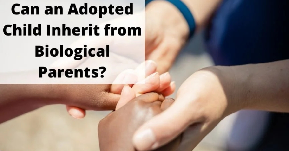 Can Adopted Child Inherit from a Biological Parent?