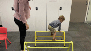 developmental delay in occupational therapy
