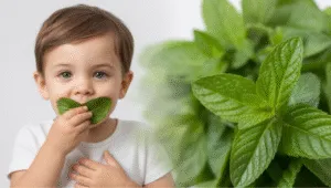 The Role of Green Leaf Therapy in Digestive Health